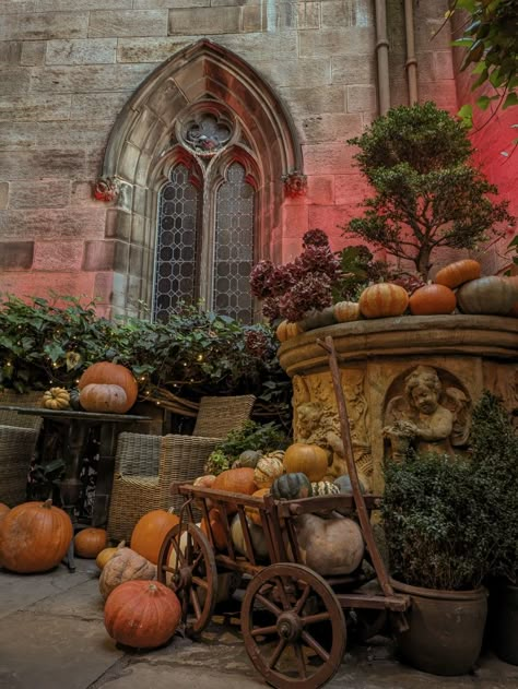 Edinburgh academia fall autumn coffeeshop aesthetic vibes pumpkins pumpkin spice Fall Castle Aesthetic, Autumn In England United Kingdom, Edinburgh Fall Aesthetic, Fall In Edinburgh, Autumn In Edinburgh, Edinburgh Autumn Aesthetic, Edingbruh Autumn, Windenburg Aesthetic, Bourgeoisie Aesthetic