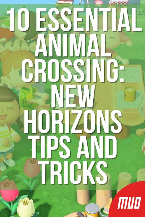 Animal Crossing Starting Island, Acnh Beginner Tips, How To Play Animal Crossing, Animal Crossing Beginner Tips, Animal Crossing Tricks, Animal Crossing Secrets, Acnh Daily Checklist, Animal Crossing Tips For Beginners, Acnh Tips And Tricks