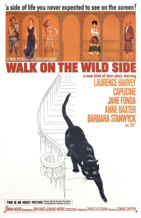 Walk on the Wild Side (1962) (Poster design by Saul Bass) Jane Fonda Barbarella, Anne Baxter, Primal Scream, Barbara Stanwyck, Hooray For Hollywood, Walk On The Wild Side, Southern Gothic, Jane Fonda, Columbia Pictures