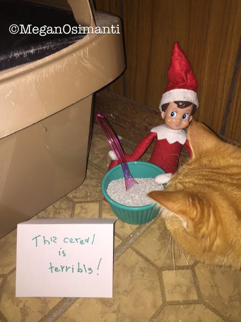 Elf On The Shelf Ideas Vet Clinic, Elf On The Shelf Ideas With Cats, Elf On The Shelf Cat Ideas, Elf On The Shelf Cereal Ideas, Elf On The Shelf Pet Ideas, Elf Pranks, Elf 2023, Cottage Cat, Elf Shenanigans