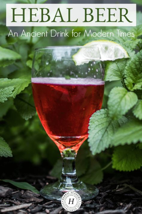 Herbalist Apothecary, Homemade Liquors, Homemade Wine Recipes, Mead Wine, Medicine Garden, Herbal Academy, Homemade Alcohol, Beer Recipe, Craft Brew