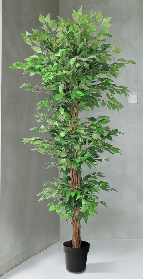 Faux Ficus Tree, Cactus House Plants, Creative Garden Decor, Fake Flower Arrangements, Plant In Pot, Fake Plants Decor, Ficus Tree, Artificial Potted Plants, Planta Artificial