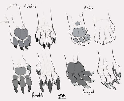 TAIL LASHOR (@AtomicArdent) / Twitter Werewolf Paws, Paw Reference, Wolf Drawing Reference, Lab Reference, Wolf Paws, Paw Drawing, Paw Art, Cat Drawing Tutorial, Canine Art