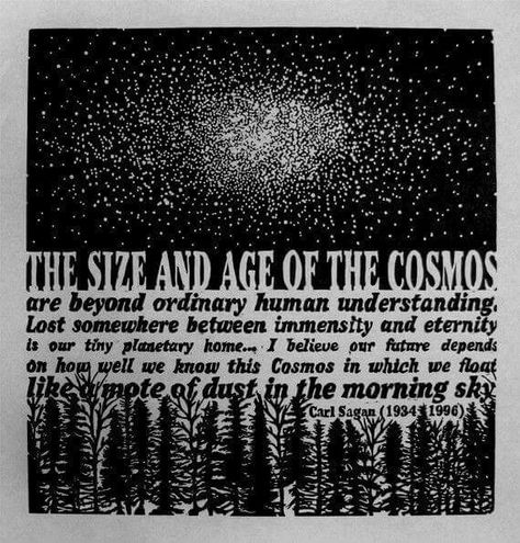 The cosmos Morning Sky, Relief Print, Carl Sagan, Space Science, The Cosmos, Love Words, Pretty Words, Beautiful Words, Astronomy