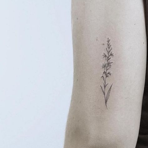 elicate and detailed, the tiny floral tattoos of Toronto-based artist Lindsay Asselstine are whimsical works of art. Asselstine—who goes by Lindsay April on social media—is known for her simple, sketch-like style and nature-inspired pieces, ranging from miniature portraits of pets and animals to dainty depictions of flowers and foliage. Larkspur Flower Tattoos, Larkspur Tattoo, Wildflowers Tattoo, Tattoo Tiny, Mother Nature Tattoos, Tattoo Nature, Unalome Tattoo, Tattoo Zeichnungen, Tattoos Geometric