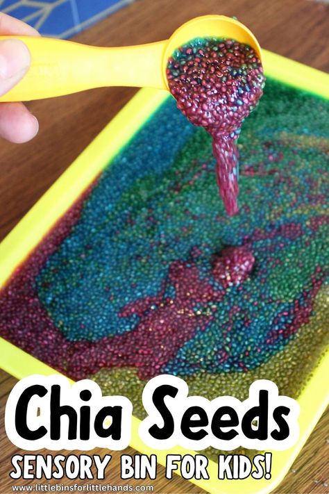 Chia Seed Sensory Bin - Little Bins for Little Hands Eatable Sensory Bin, Nutrition Sensory For Preschool, Low Sensory Activities, Science Sensory Bins Preschool, Crushed Cheerios Sensory Bin, Sponge Sensory Bin, Healthy Eating Sensory Bin, Indoor Sensory Bin, Chia Slime Sensory