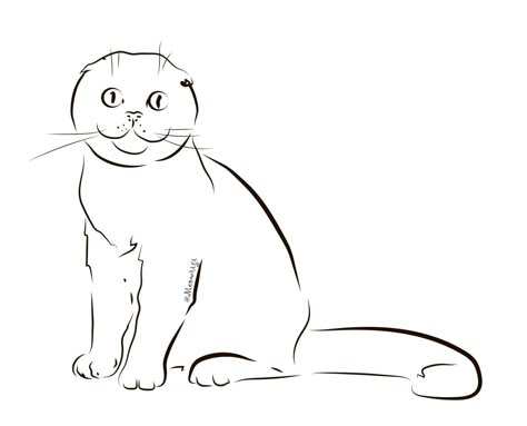 Cat Outline, Scottish Fold, Cat Illustration, Learn To Draw, Snoopy, Disney Princess, Disney Characters, Tattoos, Disney