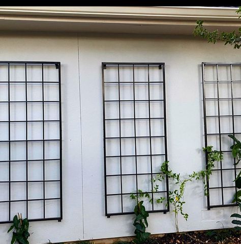 Wall Mounted Trellis, Custom Screen Doors, Trellis Wall, Metal Garden Trellis, Trellis Fence, Metal Trellis, Outdoor Trellis, Trellis Plants, Plant Stands