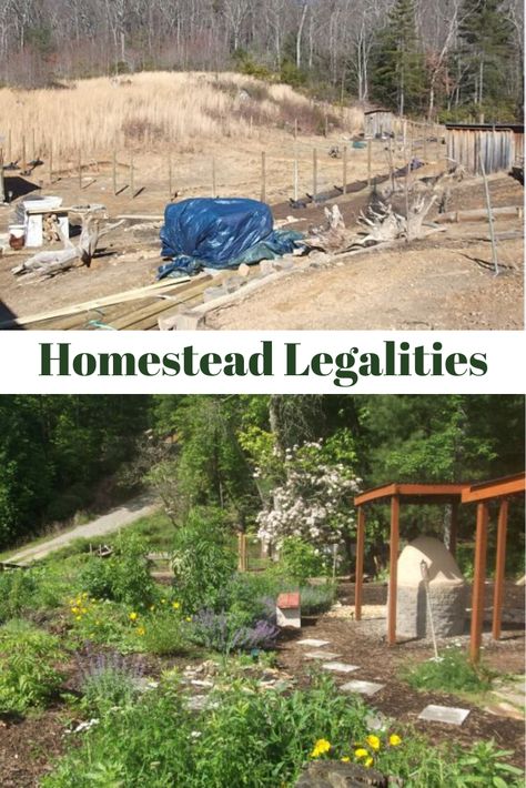 Oregon Homestead, Homestead Buildings, Community Spaces, Homestead Life, Mother Earth News, Urban Homesteading, Community Space, Nature Preserve, Master Plan