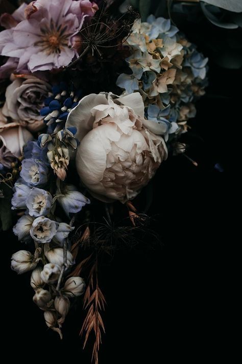 Cotton Rag Paper, Best Flowers, Dark Flowers, Floral Photography, Dark Floral, Alter Ego, Amazing Flowers, Flower Wallpaper, Flowers Photography