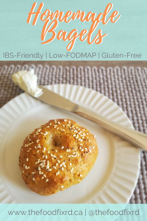 IBS-friendly, GI dietitian-approved, low-FODMAP, gluten-free homemade bagels, that are actually easy and delicious! Low Fodmap Sandwiches, Low Fodmap Bread Recipe, Low Fodmap Muffins, Low Fodmap Bread, Lowfod Map, Gluten Free Bagel Recipe, Ibs Friendly Food, Fodmap Recipes Dinner, Low Fodmap Recipes Dinner