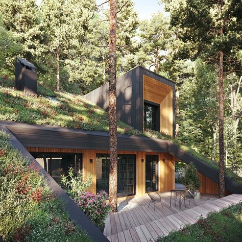 Green Roof Design, Underground Houses, Green Roof House, Eco Houses, Casa Hobbit, Earth Sheltered Homes, Eco House Design, Underground House, Eco Homes