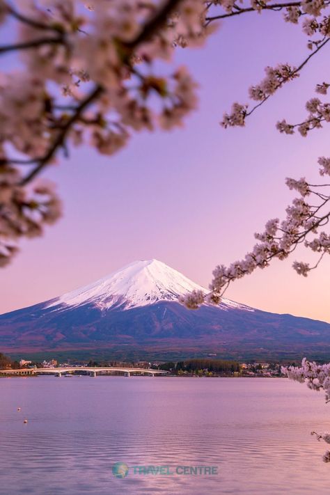 Nature Aesthetic Photos, Lake Kawaguchiko, Forest Wonderland, View Of Nature, Natural Place, Nature Sunrise, Sunrise Aesthetic, Nature Landscape Photography, Aesthetic View