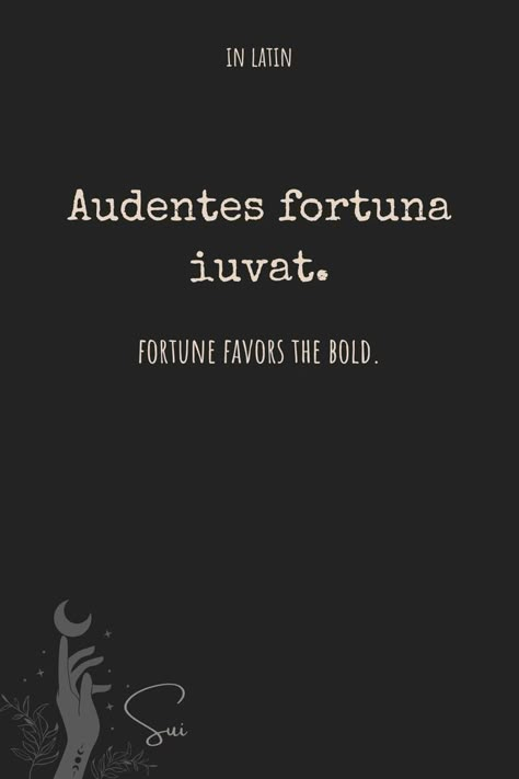 Fortune Favors The Bold Tattoo, Best Latin Quotes, Audentes Fortuna Iuvat, Latin Language Learning, Latin Quotes, Fortune Favors The Bold, Quality Quotes, Unique Words Definitions, Latin Phrases