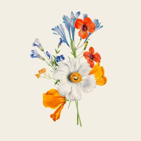 Free vector vintage spring flower illust... | Free Vector #Freepik #freevector #lily #botanical-flowers #lily-flower #flower Pencil Drawings Of Flowers, Pencil Drawing Images, Most Popular Flowers, Flower Vector, British Garden, Popular Flowers, Vintage Spring, Drawing Images, May Flowers