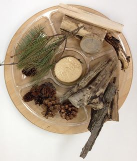 Transforming our Learning Environment into a Space of Possibilities: Natural Materials Provocations Reggio, Reggio Emilia Approach, Reggio Inspired Classrooms, Reggio Emilia Inspired, Inquiry Learning, Reggio Classroom, November Activities, Garden Activities, Tree Study