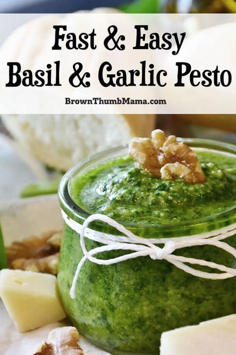 You'll love this easy pesto recipe, with a secret ingredient that cuts the cost in half! Includes bonus recipes and freezing tips too. #easyrecipe #forbeginners #italian Garlic In Containers, Garlic Pesto Recipe, Types Of Garlic, Garlic Pesto, Diy Mixes, Walnut Pesto, Basil Recipes, Fast Easy Meals, Marinade Recipes