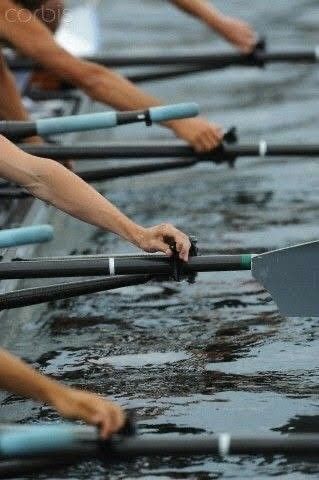 Oxford Rowing, Rowing Aesthetic, Crew Aesthetic, Rowing Photography, Rowing Quotes, Sports Aesthetics, Row The Boat, Henley Royal Regatta, Rowing Crew