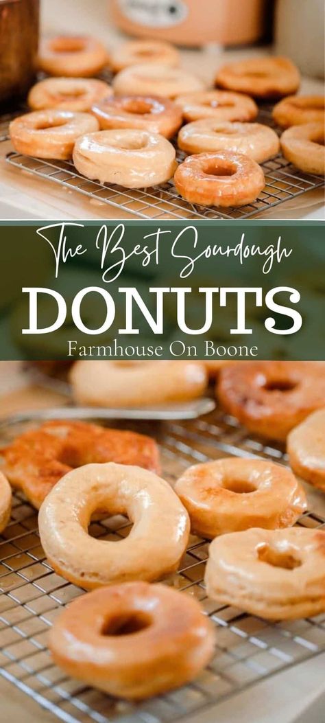 Sourdough Doughnut Recipe, Sourdough Donut Recipe, Recipe Using Sourdough Starter, Whole Wheat Sourdough, Dough Starter, Sourdough Starter Discard Recipe, Homemade Sourdough Bread, Sourdough Starter Recipe, Fun Baking