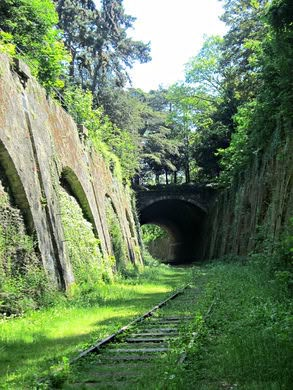 Abandoned Aesthetic, Abandoned Railway, Abandoned City, Railway Line, Apocalypse Aesthetic, City Of Paris, Urban Nature, Level Design, Fantasy Places