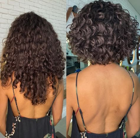 Short Curly Haircuts Chin Length, Curly Bobbed Hairstyles, 3a3b Curly Hair Short, Short Layered Bob Curly Hair, Short Curly Hair Back View, Short Round Curly Haircut, Rezo Cut Curly Hair Short, 2b Short Haircut, Short Curly Hair Bob Natural Curls