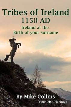 Do you have a Irish surname in your family tree? How much do you know about Ireland at the birth of your Irish surname? Read our article to find out more about the Tribes of Ireland at the birth of your Irish surname. #Irishsurnames #Irishfamilyhistory #Irishancestry #Irishgenealogy #Irishfamilytree Genealogy Ireland, Irish Things, Ireland History, Ancestry Family Tree, Family Tree Genealogy, Irish Gaelic, Ancestry Genealogy, Family Research, Irish Culture