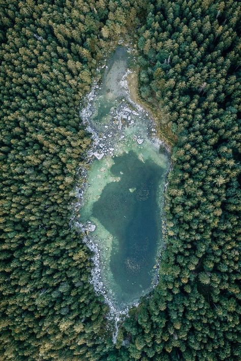 Pond Top View, Drone Pics, Washington Houses, Aerial Images, Drone Photos, Forest Art, Aerial Photo, Pine Forest, Photography Work