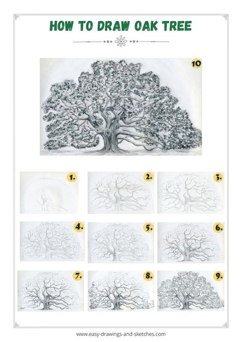 Learn how to draw an Angel Oak Tree in simple steps Angel Oak Tree Drawing, Drawing Oak Tree, Oak Tree Drawing Sketch, Live Oak Tree Tattoo, Draw An Angel, Oak Tree Pictures, Trees Art Drawing, Oak Tree Painting, Oak Tree Drawings