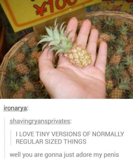 reblog it reblog it reblog it reblog it reblog it reblog it reblog it reblog it reblog it reblog it reblog it reblog it reblog it reblog it reblog it reblog it reblog it reblog it reblog it reblog it Tumblr Gets Deep: Next Page–> Baby Pineapple, Best Of Tumblr, Bohol, Funny Tumblr Posts, Dirty Mind, Mini Things, It Goes On, Laughing So Hard, Tumblr Posts