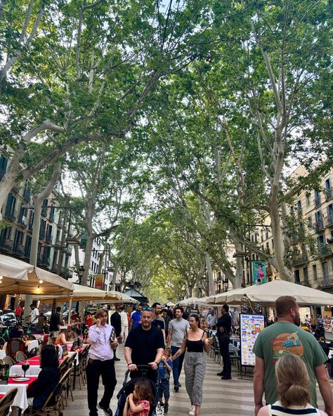 Las ramblas Barcelona Barcelona Ramblas, Las Ramblas Barcelona, Instagram Barcelona, La Pedrera, Barcelona, Travel, Instagram