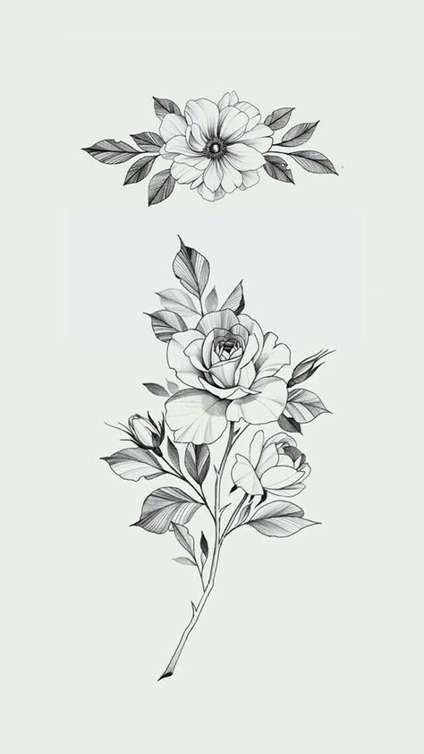 Flower Drawing Design, Rose Tattoo Design, Flower Sketches, Floral Drawing, Flower Tattoo Designs, Mandala Tattoo, Rose Tattoos, Mini Tattoos, Shoulder Tattoo