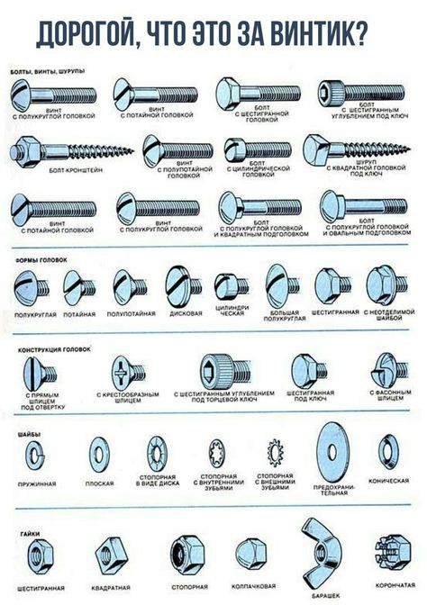 Types Of Screws, Nut And Bolt Storage, Tool Poster, Engineering Tools, Diy Patio Furniture Cheap, Wooden Pallet Projects, Classroom Furniture, Diy Classroom, Cordless Power Tools