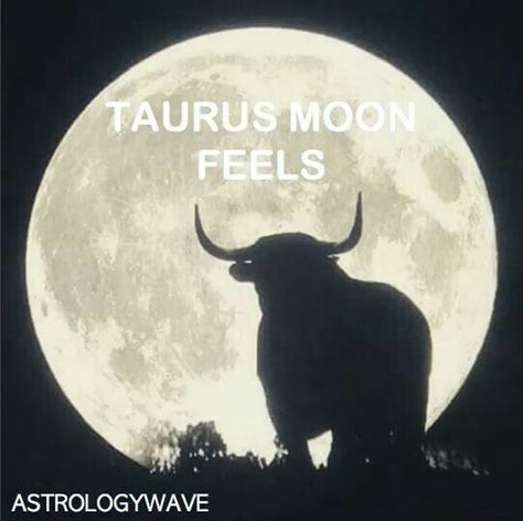 Taurus Moon Taurus Moon Woman, Zodiac Jokes, Jupiter Sign, Saturn Sign, Mercury Sign, Taurus Moon, Gemini Tattoo, Gemini Season, Capricorn Moon