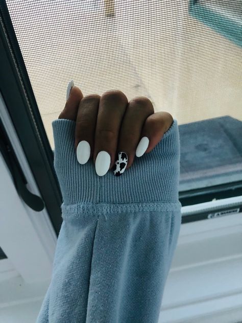 Basic white base with ring finger in cowprint Short Almond Cow Print Nails, Cow Accent Nail, White Nails With Accent Nail Ring Finger, Nails With Ring Finger Design, Fun White Nails, Cowprint Nail Design, Cute Nails White, Ring Finger Design, Cow Print Nails