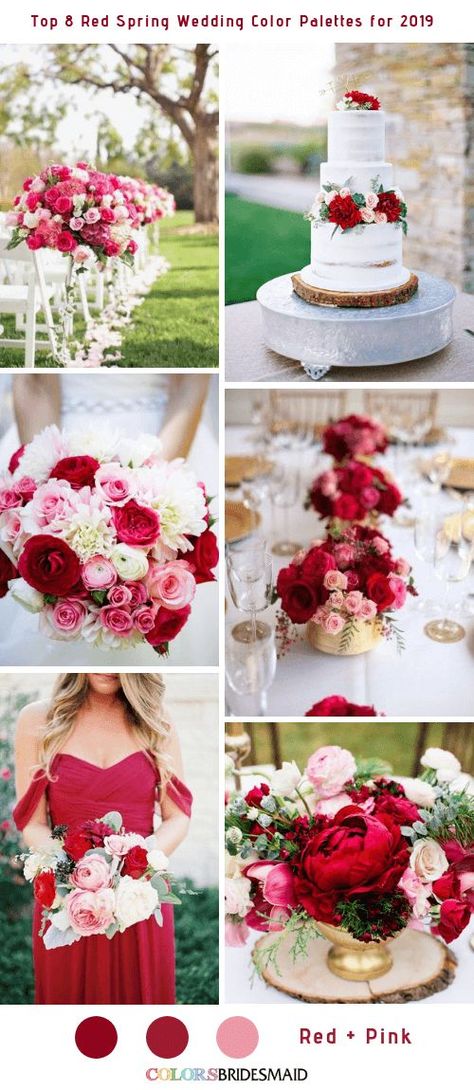 Top 8 Red Spring Wedding Color Palettes for 2019 -No.1 Red and Pink #colsbm #bridesmaids #weddings #weddingideas #springwedding b615 Red And Gold Spring Wedding, Red Color Schemes Wedding, Red Blush Wedding Color Schemes, Light Red Wedding Theme, Spring Red Wedding Color Schemes, Red Spring Wedding Colors, Blush Pink And Red Wedding Theme, Red Summer Wedding Color Schemes, Spring Wedding Inspiration Colour Palettes