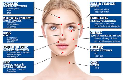 Skin professionals can use your face as a map to detect a plethora of issues - from dehydration, to stress, to breathing problems, to hormonal fluctuations, and more. Here, we break it down. Break Out Zones Face, 12 Meridians, Face Mapping Acne, Aesthetic Dermatology, Body Toxins, Professional Skincare, Face Mapping, Face Care Tips, Korean Skincare Products