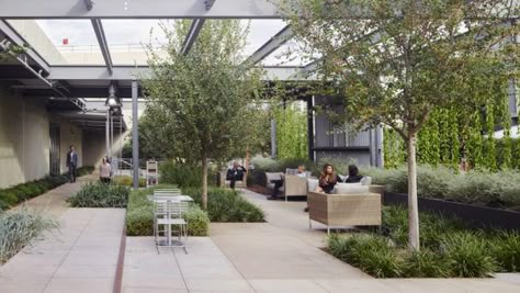 Box Architecture, Garden Nook, Commercial And Office Architecture, Sacred Architecture, Sky Garden, Patio Interior, Education Architecture, Structure Architecture, Commercial Architecture