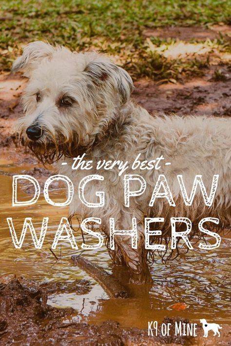 Best Dog Paw Washers For Cleaning Cane Feet! Sick of your pooch tracking in mud all over the house? Paw washers can keep your home and car clean after romps in the mud with Fido! #dogs #dogcare #doggrooming #dogcleaning #paws #pawwashing #dirtydog #cleandog Dog Paw Washing Station Diy, Dog Paw Washer, Dog Paw Washing Station, Muddy Dog Paw Solutions, Paw Washing Station, Dog Paw Cleaning Station, Paw Cleaner For Dogs, Dog Dryer, Boarding Kennels