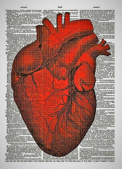 Closed Captions. The Human Heart, Heart Anatomy, Human Figure Drawing, Dictionary Art Print, Dictionary Page, Scandinavian Wall Art, Dictionary Art, Vintage Dictionary, Antique Illustration