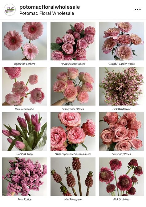 Pink Flower Names, Floral Recipes, Bouquet Business, Flower Palette, Flower Studies, Rose Arch, Flower Dictionary, Flower Types, Flower Guide