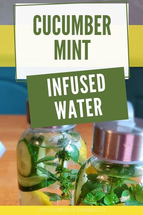 This easy cucumber mint infused water makes a cool refreshing drink to beat the heat. It's not sweetened and doesn't have anything artificial. Making infused water is thirst-quenching and healthy too! Kids Drinks Party, Mint Infused Water, Cucumber Water, Refreshing Summer Drinks, Cucumber Recipes, Lemon Mint, Garden Recipes, Summer Refreshments, Artificial Sweetener