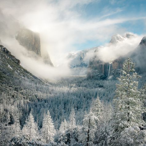 US Department of the Interior on Twitter: "If you’ve ever doubted that @YosemiteNPS is a magical place, we’ve got the proof.  Pic courtesy of Rebecca Helen #California #FindYourPark… https://t.co/AVYgw3JEXs" Yosemite National Park Winter, Yosemite Sequoia, Yosemite Falls, National Park Road Trip, California National Parks, National Parks Trip, Best Hikes, Road Trip Usa, Yosemite National