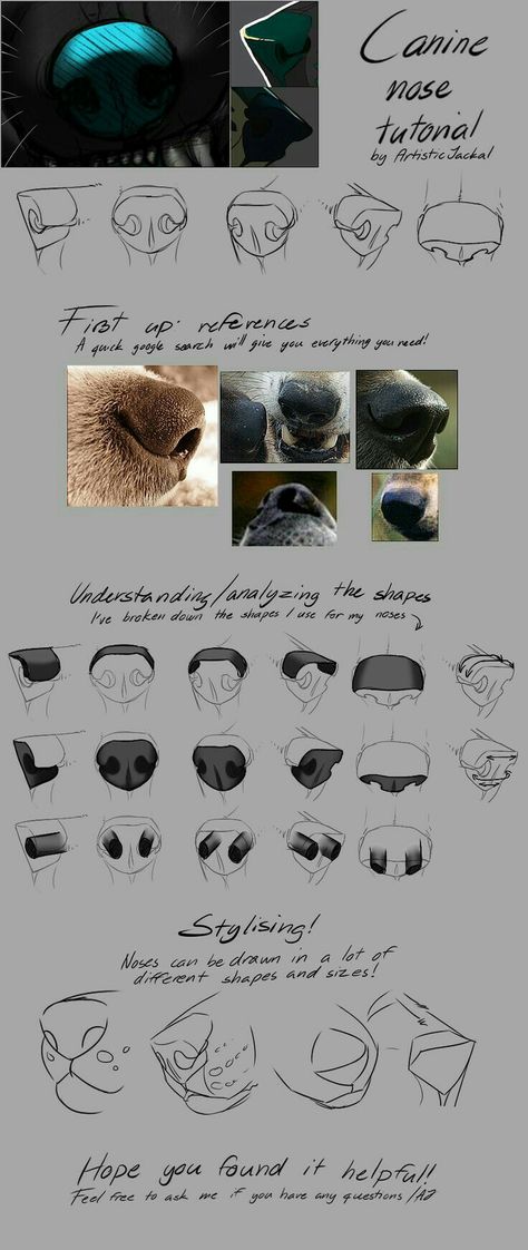 Nose Tutorial, Dog Drawing Tutorial, Dogs Drawing, Animal Noses, Canine Drawing, Dog Anatomy, Nose Drawing, 강아지 그림, Dog Nose