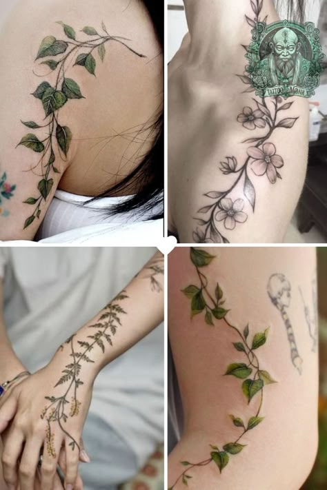 Discover the beauty of vine tattoos with our curated collection of elegant and intricate designs. Perfect for both men and women, these tattoos symbolize growth, strength, and connection to nature. Explore different styles, placements, and meanings to find your ideal vine tattoo. Whether you prefer minimalist or detailed art, there's a design for everyone. #VineTattoo #TattooIdeas #NatureTattoo #ElegantTattoos #TattooDesigns #BodyArt Things That Symbolize Strength, Spiral Vine Tattoo, Trailing Plant Tattoo, Vine Half Sleeve Tattoo, Moon Vine Tattoo, Leaves Vine Tattoo, Vine Tattoo Placement, House Plant Tattoo Ideas, Ivy Tattoo Vines For Women