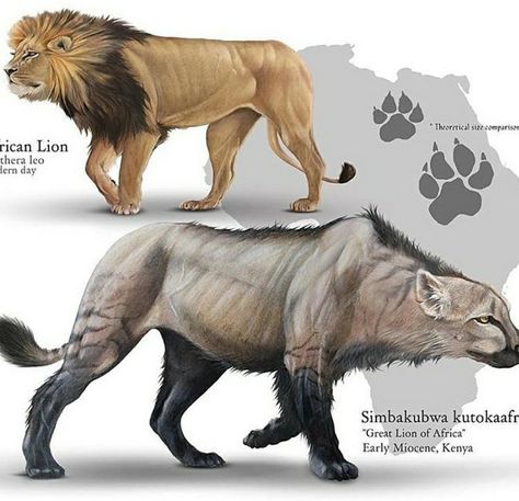 Designing Characters, Animal Infographic, Prehistoric Wildlife, Ancient Animals, Creature Artwork, Paleo Art, Creature Drawings, Extinct Animals, Prehistoric Creatures