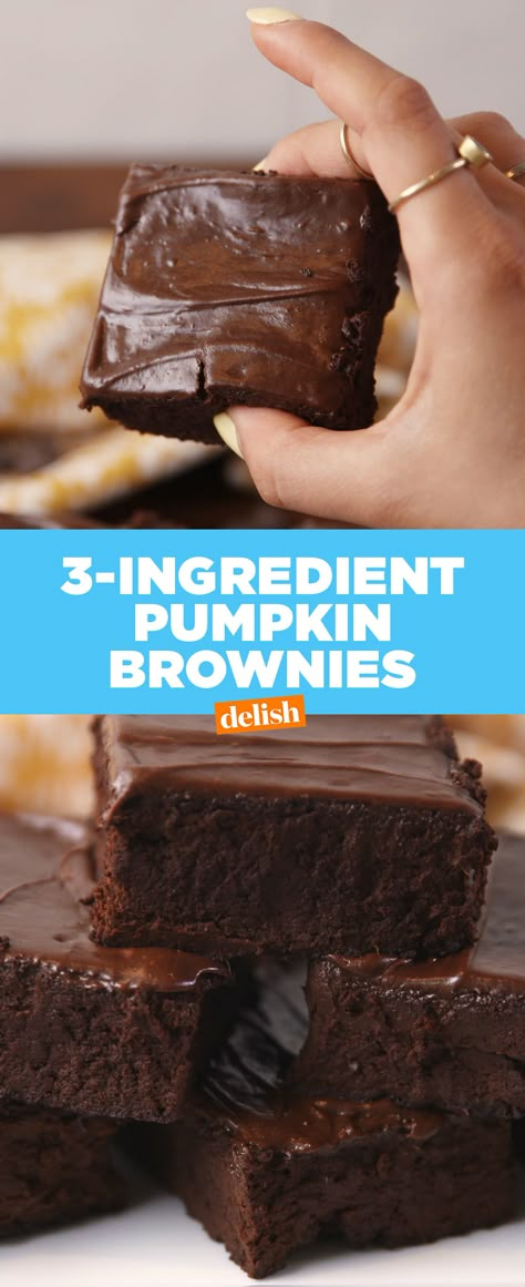 These 3-Ingredient Pumpkin Brownies are the easiest dessert you'll make all fall.﻿ Get the recipe from Delish.com. 3 Ingredient Pumpkin, Powder Peanut Butter, 3 Ingredient Brownies, Pumpkin Brownies, Brownies Recipe Homemade, Three Ingredient, Diet Keto, Chocolate Frosting, 3 Ingredient