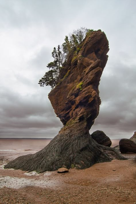 Russia Landscape, Hopewell Rocks, Bay Of Fundy, New Brunswick Canada, Oh Canada, New Brunswick, Jolie Photo, Rock Formations, Canada Travel