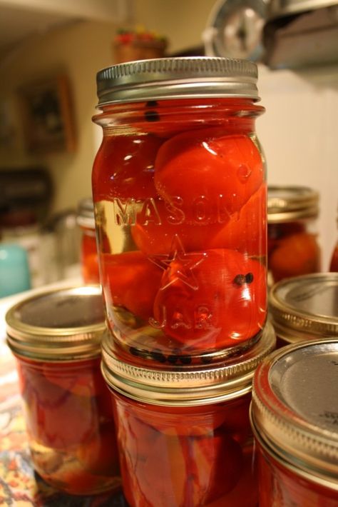 Pickled Hot Cherry Peppers Recipe, Cherry Peppers Recipes, Pickled Cherry Peppers Recipe, Pickled Cherry Peppers, Cherry Pepper Recipes, Cherry Bomb Pepper, Canning Hot Peppers, Canning Peppers, Pickled Hot Peppers