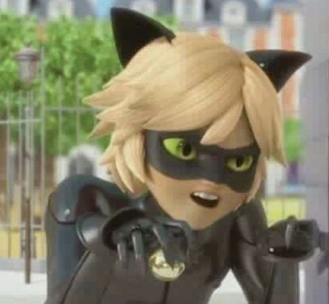 Adrian Agreste, Anthony Ramos, Trust You, Adrien Agreste, Miraculous Ladybug Funny, Funny Cat Pictures, Head Over Heels, Cartoon Shows, Cat Noir