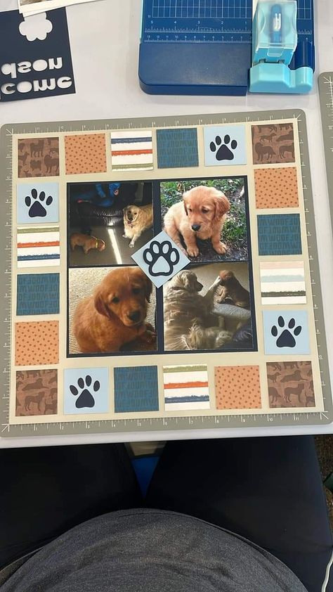 Dog Scrapbook Layouts, Pet Scrapbook Layouts, Fall Scrapbook Layouts, Scrapbook Inspo, Dog Scrapbook, Pet Project, Scrapbook Design Layout, Scrapbook Patterns, Scrapbook Design